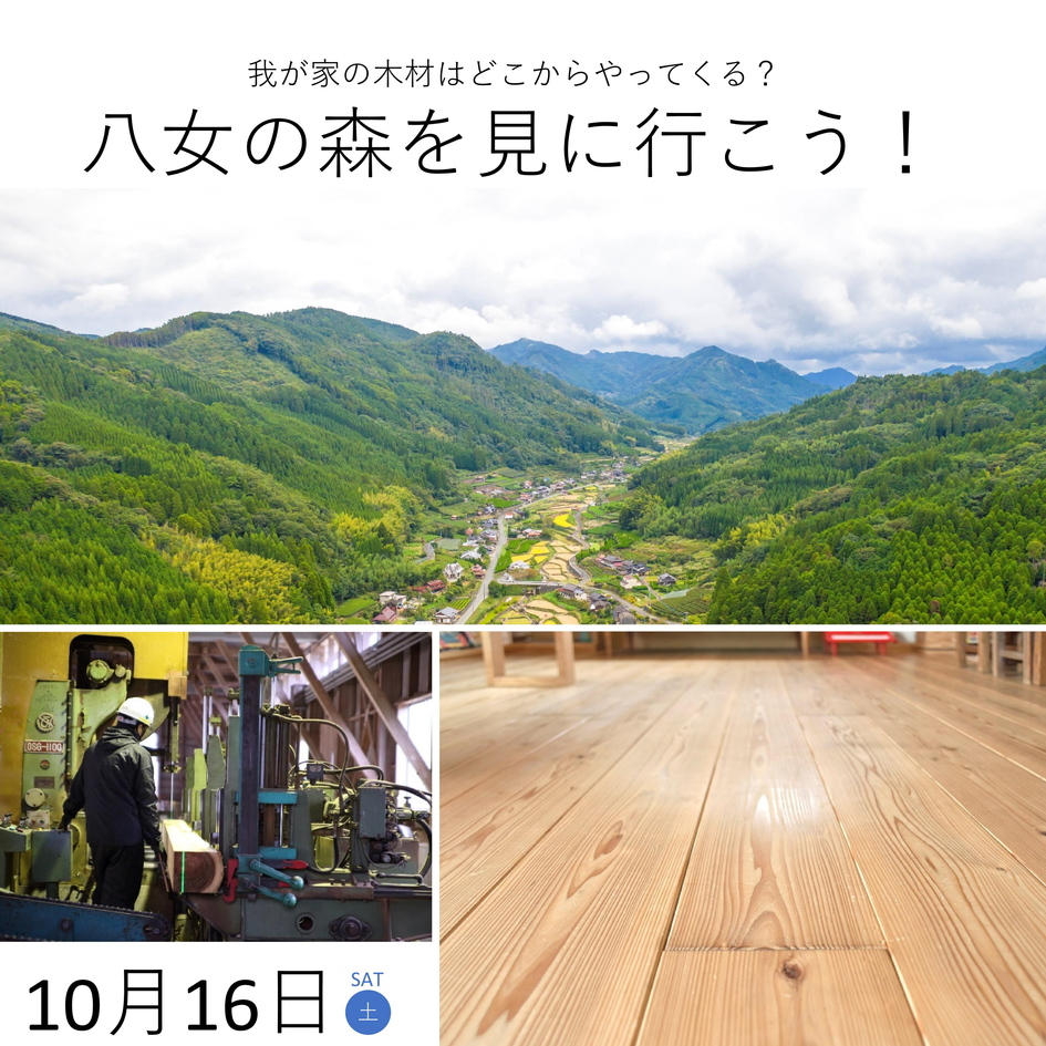 八女の森を見に行こう!